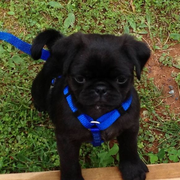 Meet your Posher, Darlene - Picture 1 of 1